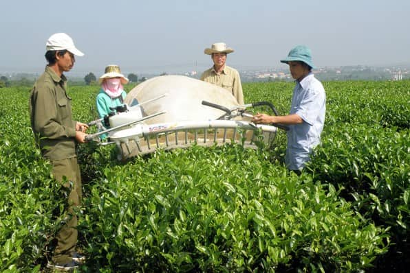 Lâm Đồng là trung tâm phát triển nông nghiệp ứng dụng công nghệ cao bền vững